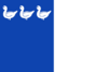 Thuin vlag.svg