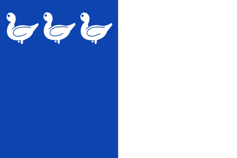 Thuin vlag