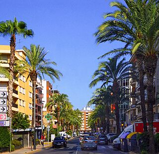 Torrent - Calle 11 edited.jpg