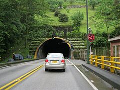 Archivo:TunelMisaelPastrana