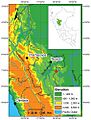 Two-sympatric-new-species-of-woodlizards-(HoplocercinaeEnyalioides)-from-Cordillera-Azul-National-ZooKeys-277-069-g006