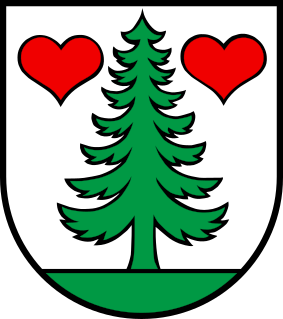Wappen Gontenschwil