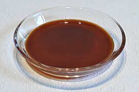Worcester Sauce 001