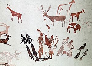 Archivo:064 Pintures de la cova dels Moros, exposició al Museu de Gavà