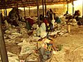 Arabic Gum Handpick Factory
