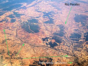 Archivo:Arandilla 1