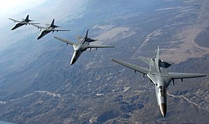 Archivo:Australian F-111s