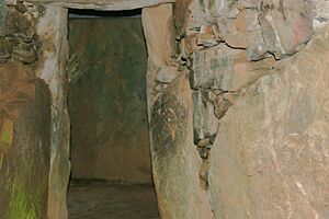 Archivo:BrynCelliDduMewn