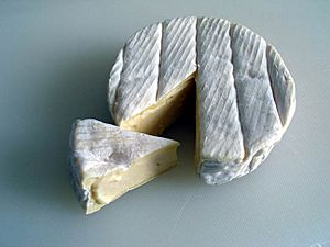 Archivo:Camembert (Cheese)