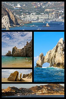 Collage Cabo San Lucas.jpg