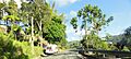Escena en el Barrio Guaraguao (PR-515 Oeste), Ponce, PR (DSC03021A)