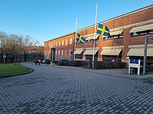 Archivo:Flags at half mast in Göteborg because of Örebro shooting