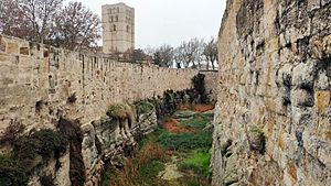 Archivo:Foso del castillo de Zamora