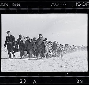 Archivo:Fotografia dos refugiados por Robert Capa