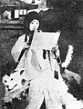 Hakkenden 1913