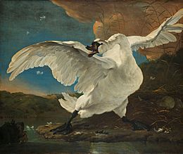 Archivo:Jan Asselijn - The Threatened Swan