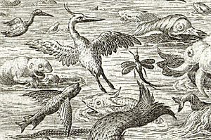 Archivo:Jan Sadeler after Maarten de Vos Heron Mayfly Flying Fish 1587