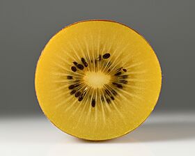 Kiwifruit 'Gold' cross section.jpg