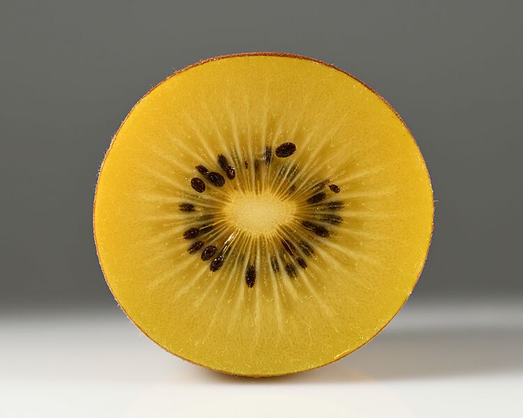 Kiwifruit 'Gold' cross section