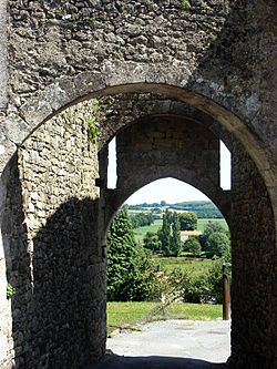 L'entrée du donjon de Châteaumur..JPG