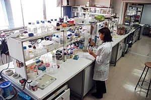 Archivo:Laboratorio Quimica U de Chile