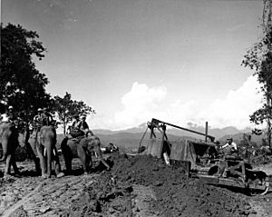 Archivo:Ledo Road, Burma 1944, Sgt. CG McCutcheon of 1304th Engineer Construction Battalion