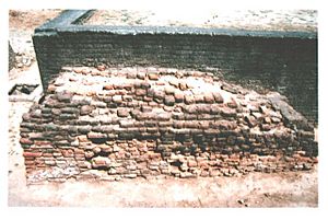 Archivo:Lothal bricks in drainage