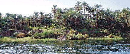 Margem esquerda do Nilo