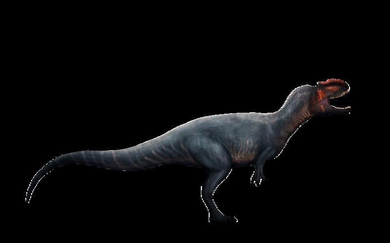 Metricanthosaurus parkeri transparent