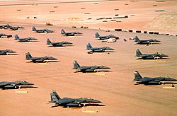 Archivo:Multiple F-15E parked during Operation Desert Shield