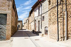 Palau de Noguera. Casco urbano. 3