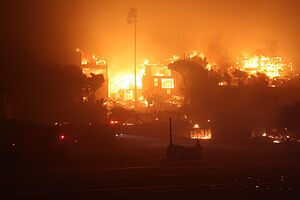 Archivo:Palisades Fire (54254471791)