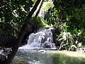 Piedra - Baño Diana