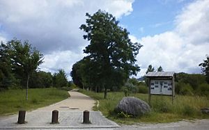 Archivo:Pontevedra capital Parque de la Xunqueira de Alba