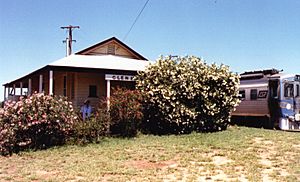 Archivo:RM 1901 at Glenmorgan Station, ~1991