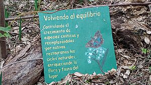 Archivo:Restauración ambiental