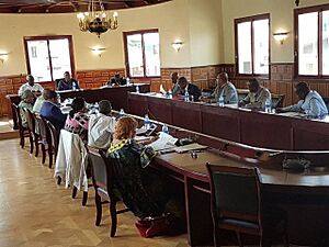 Archivo:Reunión académicos de número