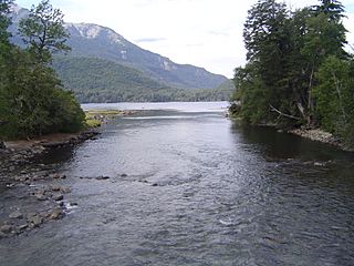 Rio Chachin desembocadura lago Lácar.JPG