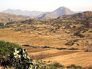 Archivo:Road to Dekemhare (8352533688)
