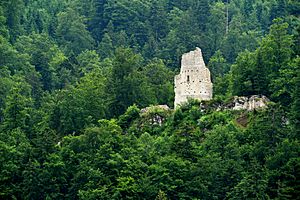 Archivo:Ruines du Chateau d'Erguel 01 10