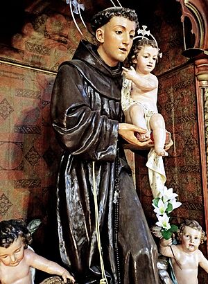 Archivo:S. Francisco, Sta. Cruz TF, 2024, 089