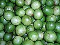 Spondias tuberosa Umbu