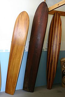 Archivo:Surf museum boards1