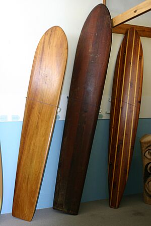Archivo:Surf museum boards1