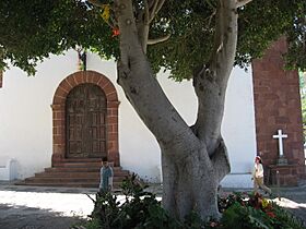 Tagana Square-Tenerife.jpg