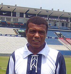 Archivo:Teófilo Cubillas