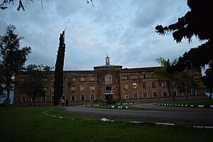 Archivo:The parliiament of Toro Kingdown 03