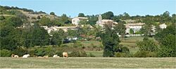 Village de Freyssenet.jpg