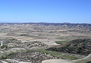 Archivo:Vista de los Monegros (Leciñena)