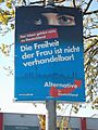 Wahlplakat AfD, Kommunalwahl Schleswig-Holstein 2018
